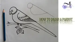 How to draw a parrot || টিয়া পাখি আঁকার সহজ পদ্ধতি