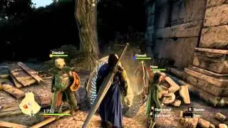 Dragon's Dogma Dark Arisen - Hardcore Mode! Aiming for Legendary Warrior status!