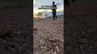 Ese momento en que tienen que dejar el celular o la camara sola y salir corriendo