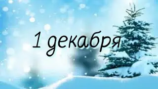 "1 декабря" meme