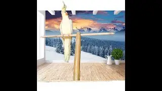 T Tünek nasıl yapılır(sultan papağanı)