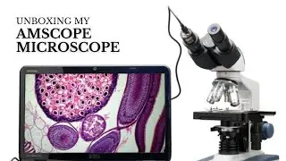 Unboxing my Amscope B120C Microscope 🔬 | Review