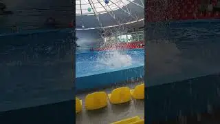 4 августа 2024 г.