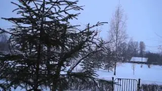 december Koksvere
