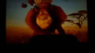 madagaskar2