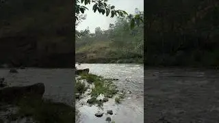 #Muthirapuzha