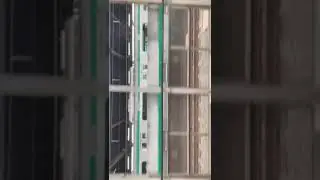 Shinkansen ride.