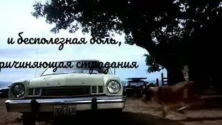 Cujo 1983