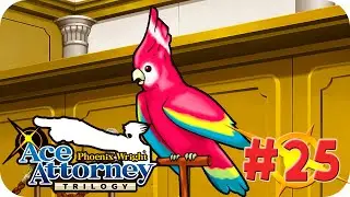 Phoenix Wright: Ace Attorney Trilogy | Español | Cap 25: Un 28 de diciembre