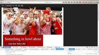 07 - CSS: Media Queries