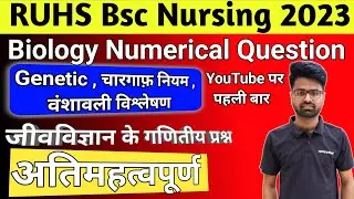 All Type Of Numerical In one shot |  RUHS BSC Nursing Exam