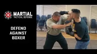Defend against a boxer