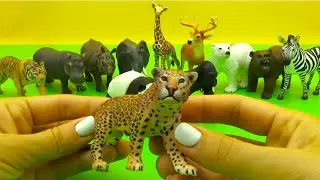 Учим животных. Видео-мультики для малышей