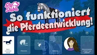 So geht das mit der neuen PFERDEENTWICKLUNG! ★ STAR STABLE ONLINE NEWS💕 [SSO DEUTSCH]