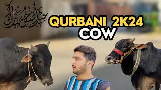 Qurbani Ki Cow Ghar Agye 🐄 | ALHUMDULILLAH Qurbani done 🥺