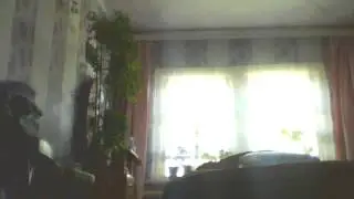 канал vampir 1