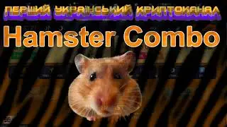 HAMSTER COMBO І ЗАРОБІТОК БЕЗ ІНВЕСТИЦІЙ І УКРАЇНСЬКИЙ КРИПТОВАЛЮТНИЙ КАНАЛ