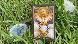 Are you ready to receive all the good things that are in store? 🫶💓🦋 #tarot #tarotcards #pickacard