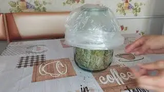 Как сохранить мох сфагнум что бы остались зелеными макушички.