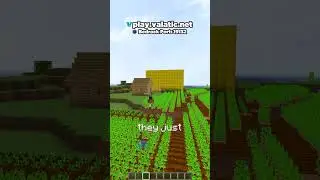 This NEW player did WHAT on my SMP?! 