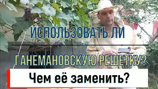 Ганемановская решетка. Применять или нет? Чем заменить?