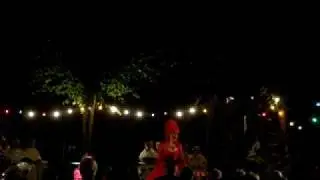 Die Zauberflöte:  Alles fuhlt der Liebe Freuden & Der Holle Rache