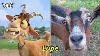 Personajes de Ole 