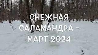 Снежная саламандра  или первый день марта - 2024