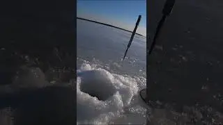 Щука на 4 кг нажерлицу