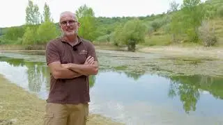 La biodiversità