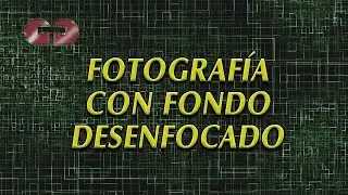5   FOTOGRAFÍA CON FONDO DESENFOCADO