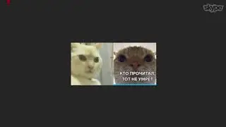 Skype 2018 06 28 13 34 45 19 x264