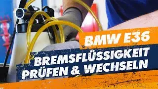 Bremsflüssigkeit prüfen und wechseln – so geht's kinderleicht 💪🏼