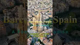 Barcelona - Must Visit Foodie Spot! #barcelonafood #food #culinaryadventure