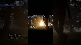 Namık KEMAL - Daima Sen (Ziya KAYNAK)  #shortsfeed #shortsviral #shortvideo #şiir #şiirheryerde