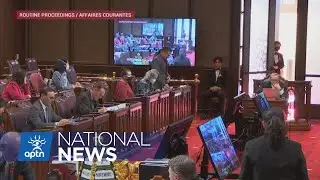 Senator renews calls for warning labels on alcohol | APTN News