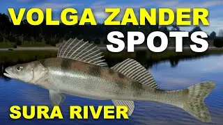 Russian Fishing 4 VOLGA ZANDER SPOTS Sura River