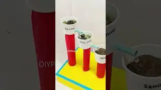 waste water purification working model - diy - science project -  diypandit - shorts | DIY pandit