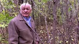 Виктор Иванович Черепков   ПОСЛЕДНЕЕ СВИДАНИЕ С РОДИНОЙ     VLATRO
