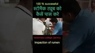 Stomach tube l Impaction of rumen l Bloat l Dr Umar Khan