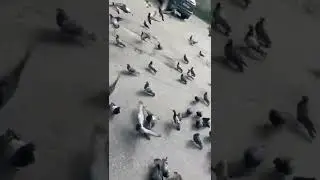 Приятного брат)