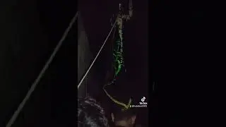 main Hun alankar #Alam sarkar hazrat Abbas alaihissalam