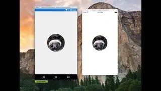 Xamarin Forms : How to create a circular image