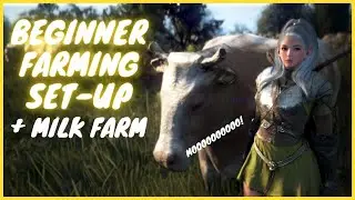 [BDO 2021] Easy and Accessible Beginner Farming Set-Up with Daily CP + Milk Ranch | Guide