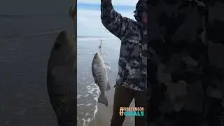 #fishing #90milebeach#snapper#trevally#honeymoon