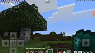 Загадочный лес!