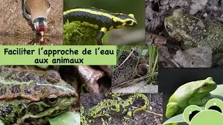 Faciliter l'approche de l'eau aux animaux