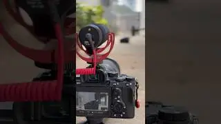 Camera smash at #300mm check out latest upload for footage. #asmr #camerasmash #photography