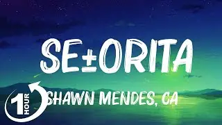 Shawn Mendes, Camila Cabello - Señorita (Lyrics) Hot Lyrics 2023