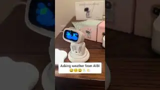 Cute AIBI robot saying weather #aibi #aibirobot #aibot #airobot #petrobot #petbot #aibots